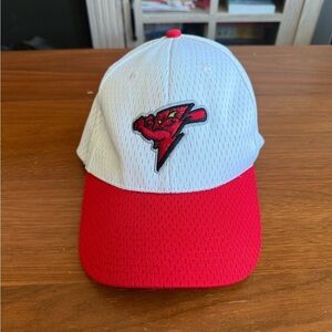 Trenton Thunder MiLB Baseball Team